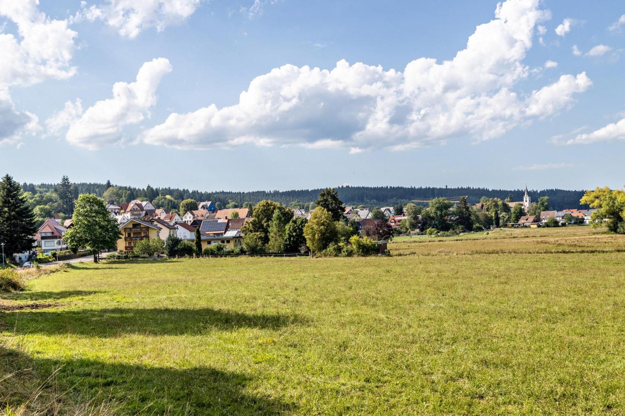 Eule Donaueschingen